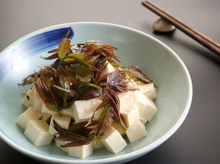天津海鲜:香椿拌豆腐