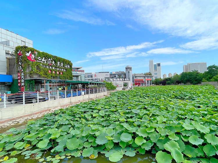 天津海鲜：三个渔夫·蒸汽海鲜（梅江店）